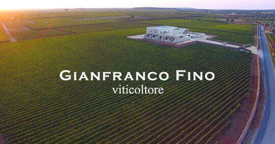 Gianfranco-FINO