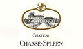 Château-CHASSE-SPLEEN---Moulis-en-Médoc
